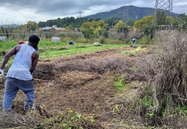 Imagen de cabecera de Planta la teva llavor