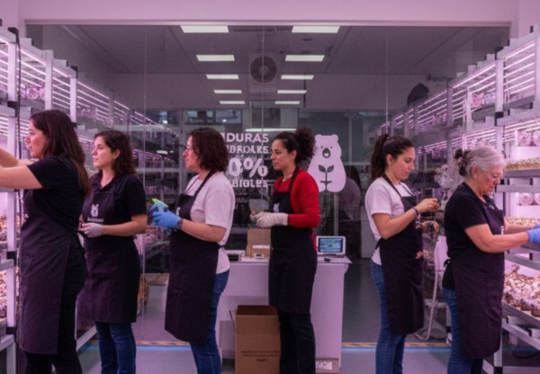 Imagen de cabecera de Mujeres que Cultivan Futuro
