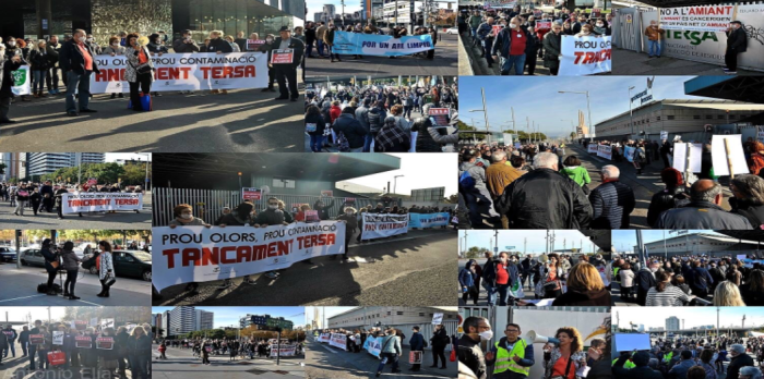 tersa-collage.png