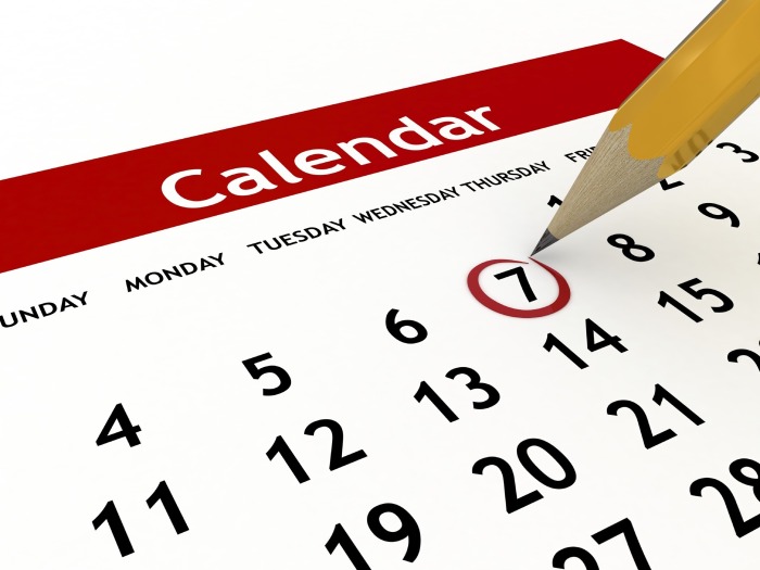 CALENDARIO DE EJECUCIÓN DEL PROYECTO DEL DESHIDRATADOR