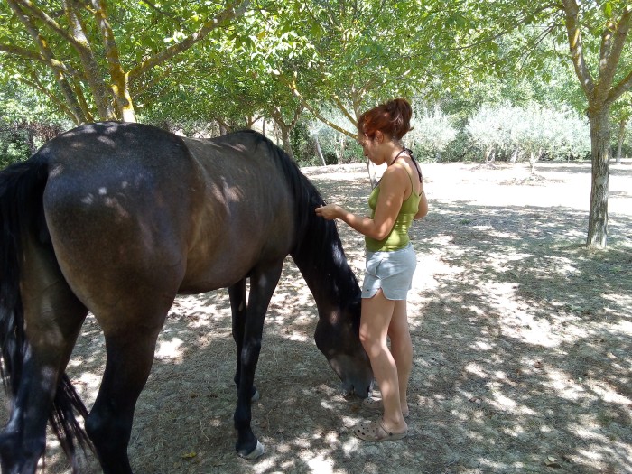 Relación con los caballos en Caminando con caballos