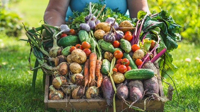venta-directa-alimentos-2.jpg