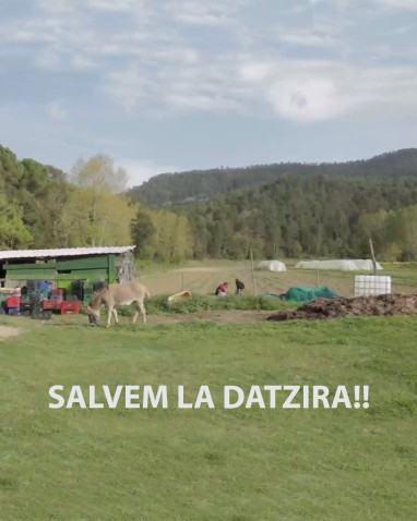 Imaxe de cabeceira