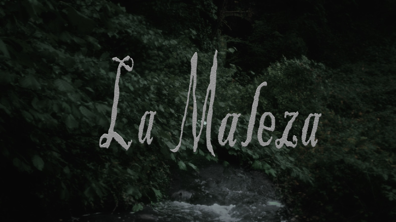 Imaxe de cabeceira
