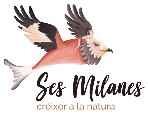 Imaxe de cabeceira
