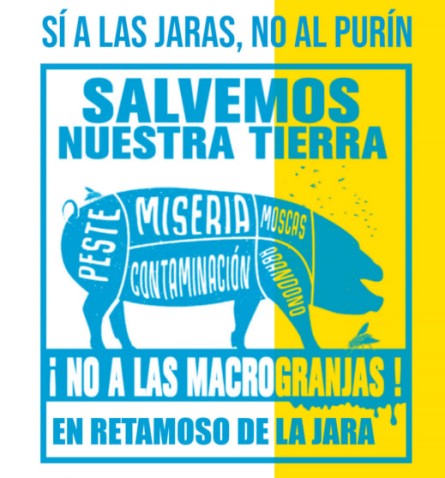 Imaxe de cabeceira