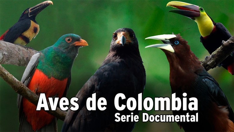 Imaxe de cabeceira