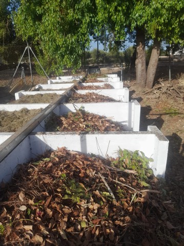Imaxe de cabeceira