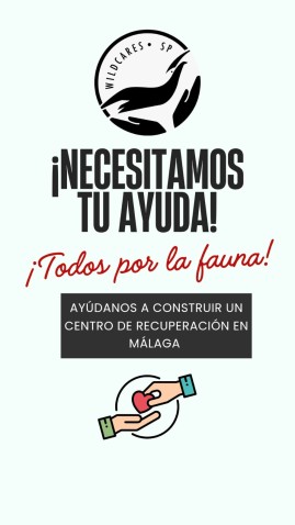 Imaxe de cabeceira